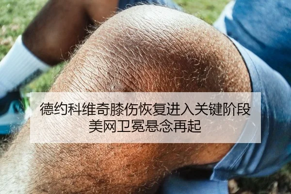 德约科维奇膝伤恢复进入关键阶段 美网卫冕悬念再起